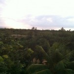 early morning view from the roof of my place in playa del carmen