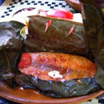 El Epazote in play del carmen mexico near colosio dish so good fish