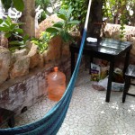 My hammock office on the balcony with lots of green in mexico