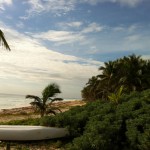 The beach at Casa De Las Olas in Tulum with white sands and coconut trees