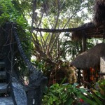 The suspension bridge outside my room, this leads to another room in mexico