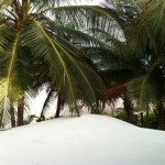 View from my room balcony at the Casa De Las Olas sustainable beach villas in Tulum mexico