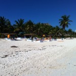 Walking to Casa Del Las Olas in Tulum Mexico on the beach1213